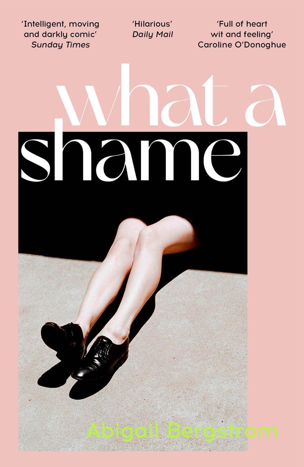 Cover: 9781529367065 | What a Shame | 'Intelligent, moving and darkly comic' The Sunday Times