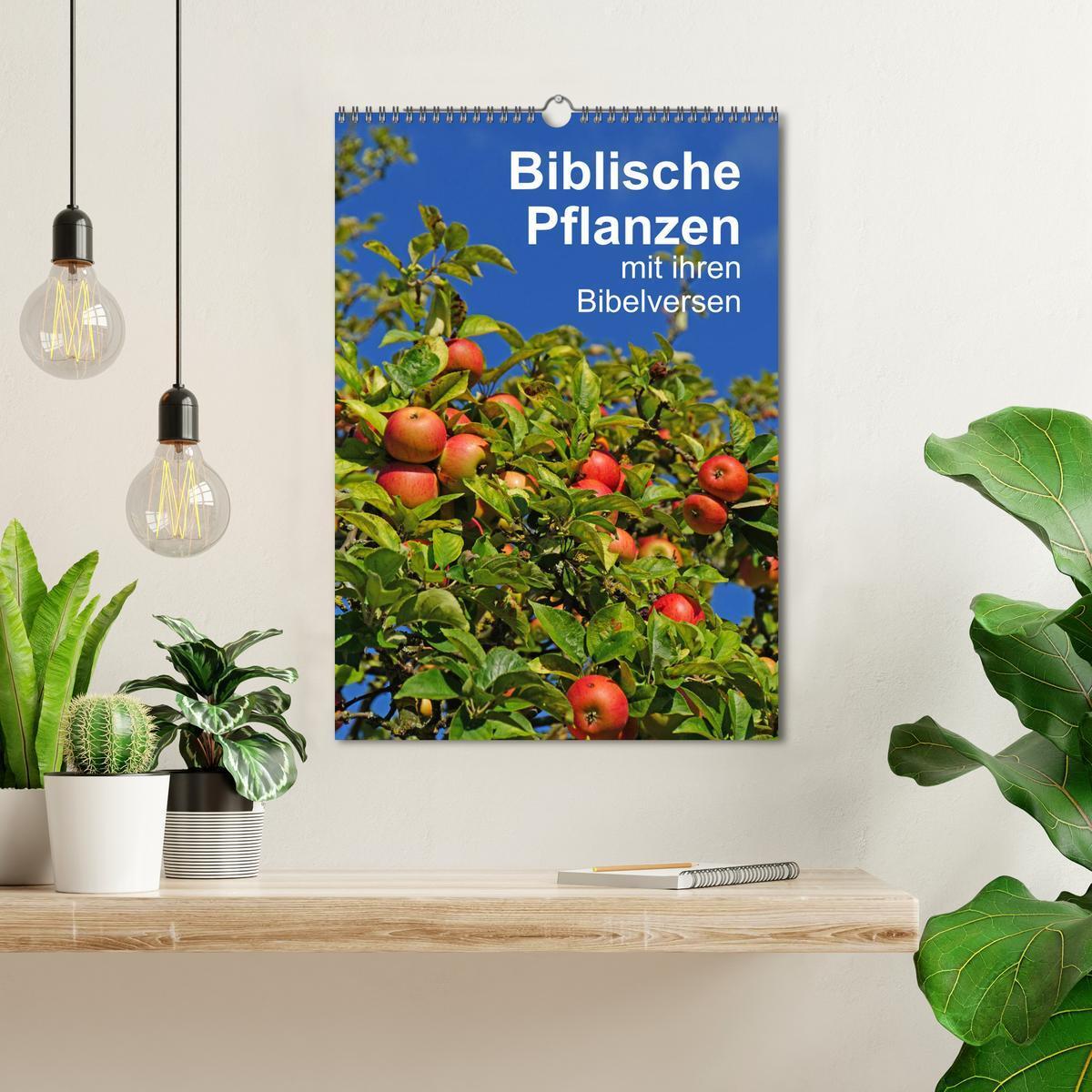 Bild: 9783435974375 | Biblische Pflanzen mit ihren Bibelversen (Wandkalender 2025 DIN A3...