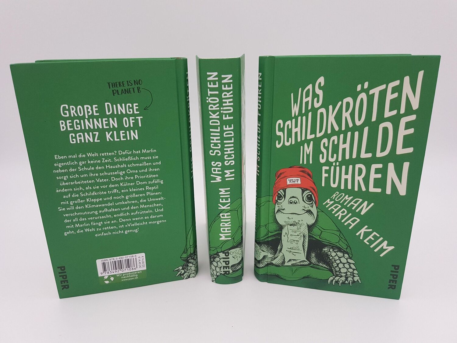 Bild: 9783492071086 | Was Schildkröten im Schilde führen | Roman | Maria Keim | Buch | 2021