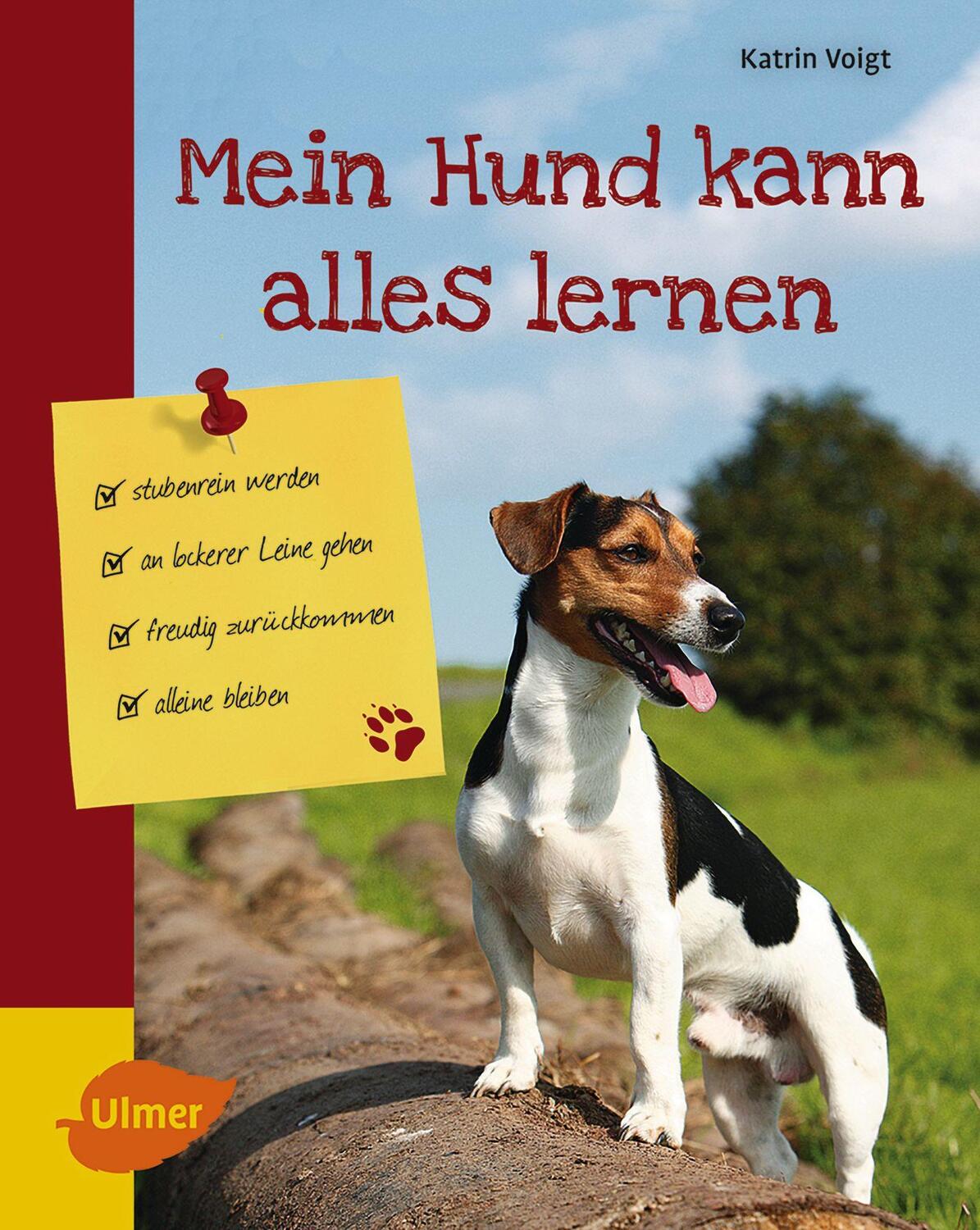Cover: 9783800112920 | Mein Hund kann alles lernen | Katrin Voigt | Buch | Deutsch | 2016