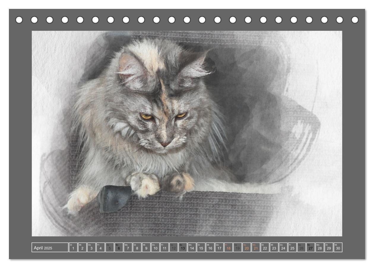 Bild: 9783435023615 | Maine Coon Aquarelle (Tischkalender 2025 DIN A5 quer), CALVENDO...