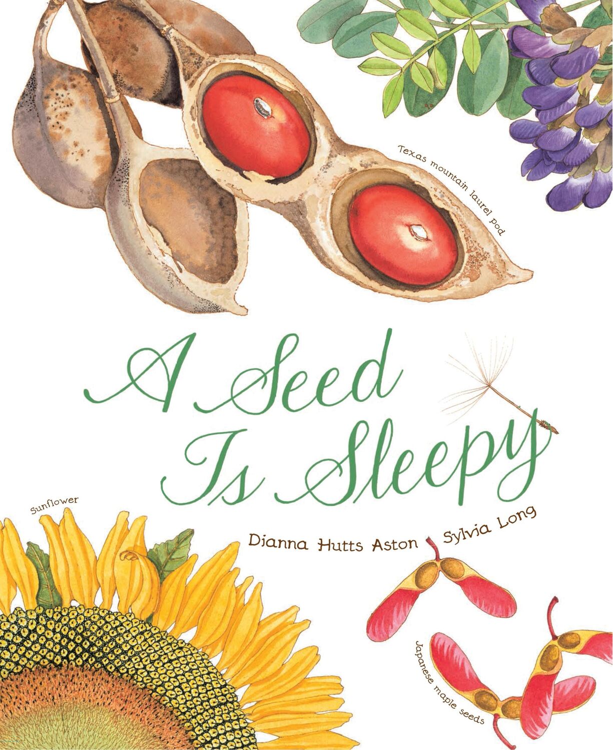 Cover: 9781452131474 | A Seed Is Sleepy | Dianna Aston | Taschenbuch | Englisch | 2014