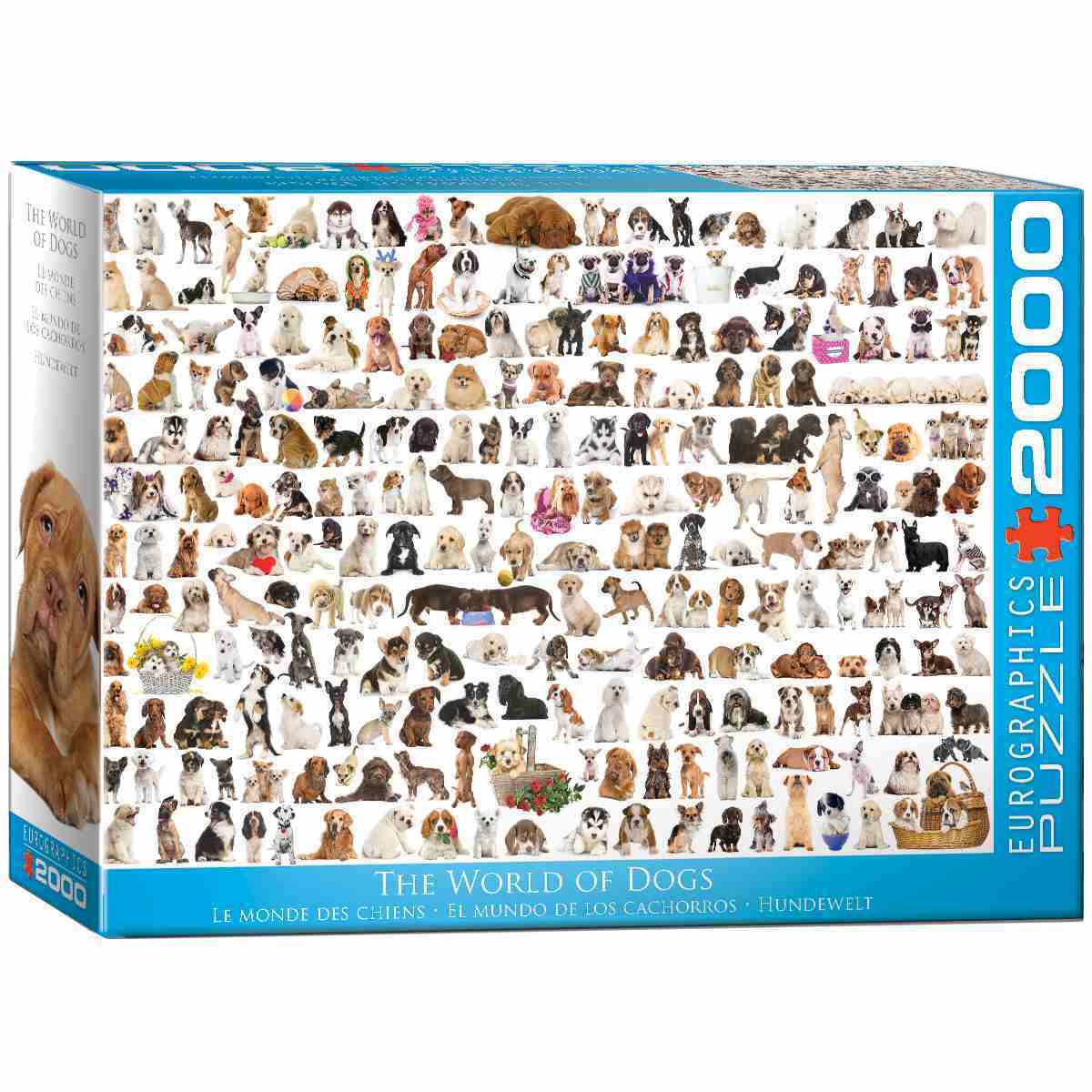 Cover: 628136205818 | The World of Dogs | Puzzle | Deutsch | 2020 | Eurographics s.r.o