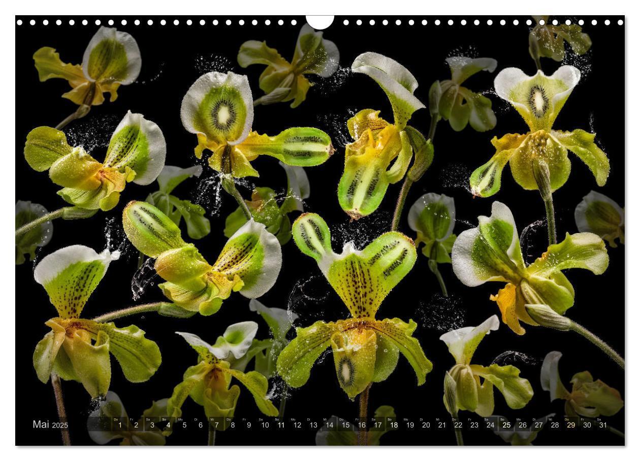 Bild: 9783383852251 | Orchidea (Wandkalender 2025 DIN A3 quer), CALVENDO Monatskalender