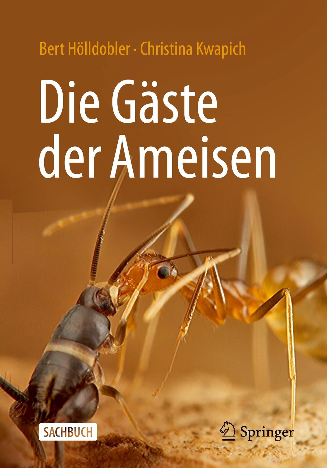 Cover: 9783662665251 | Die Gäste der Ameisen | Wie Myrmecophile mit ihren Wirten interagieren