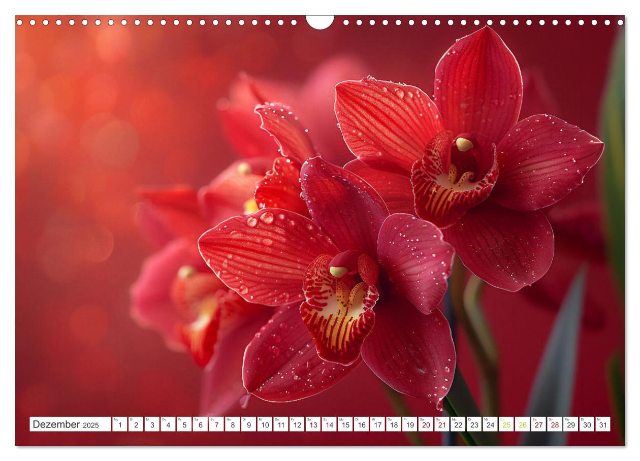 Bild: 9783457165126 | Orchideen - farbenfroh durchs Jahr (Wandkalender 2025 DIN A3 quer),...