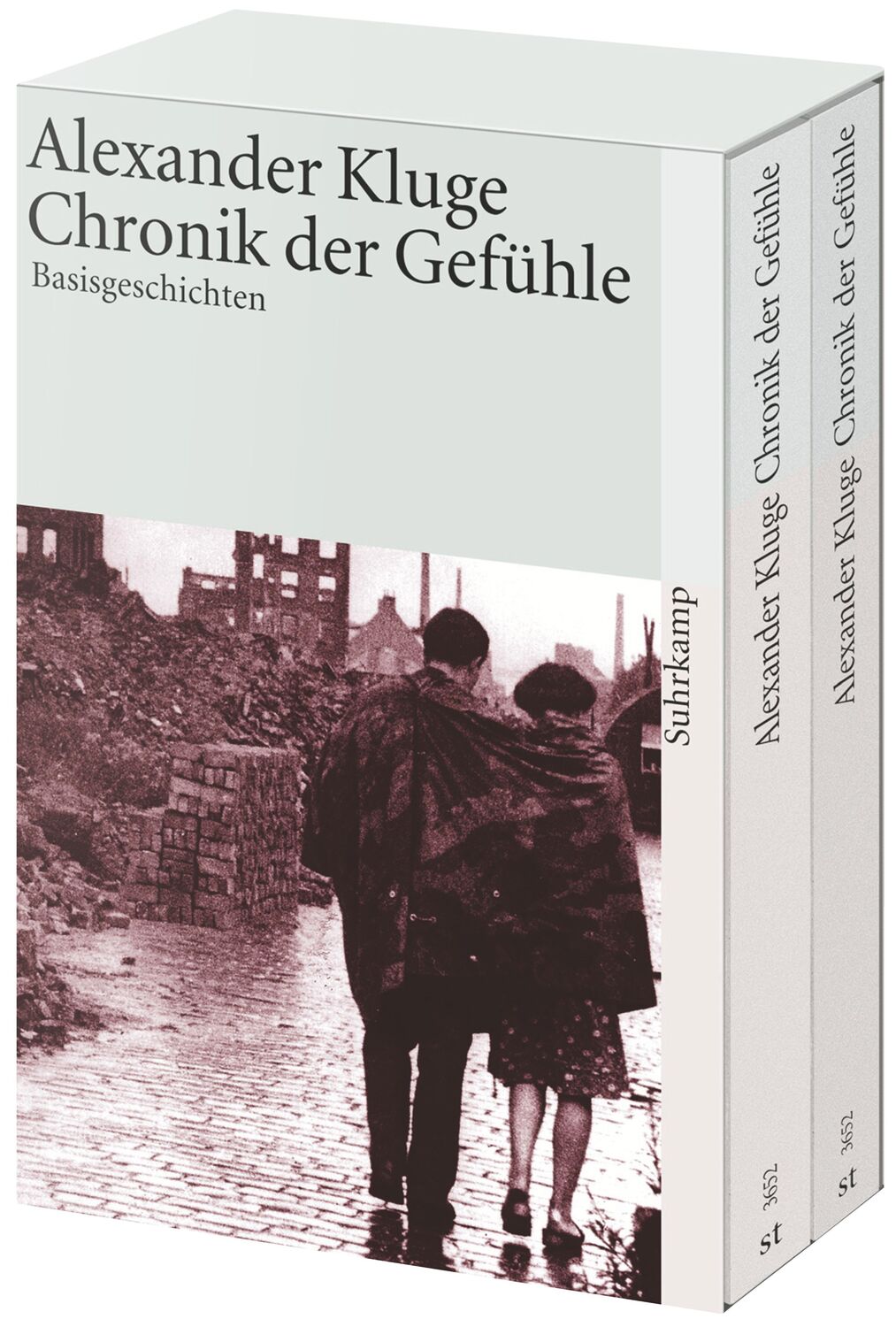 Cover: 9783518456521 | Chronik der Gefühle | Band 1: Basisgeschichten. Band 2: Lebensläufe