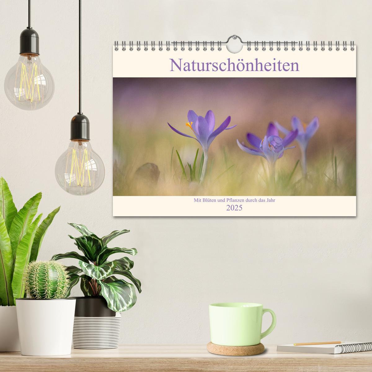 Bild: 9783435179725 | Naturschönheiten - mit Blüten und Pflanzen durch das Jahr...