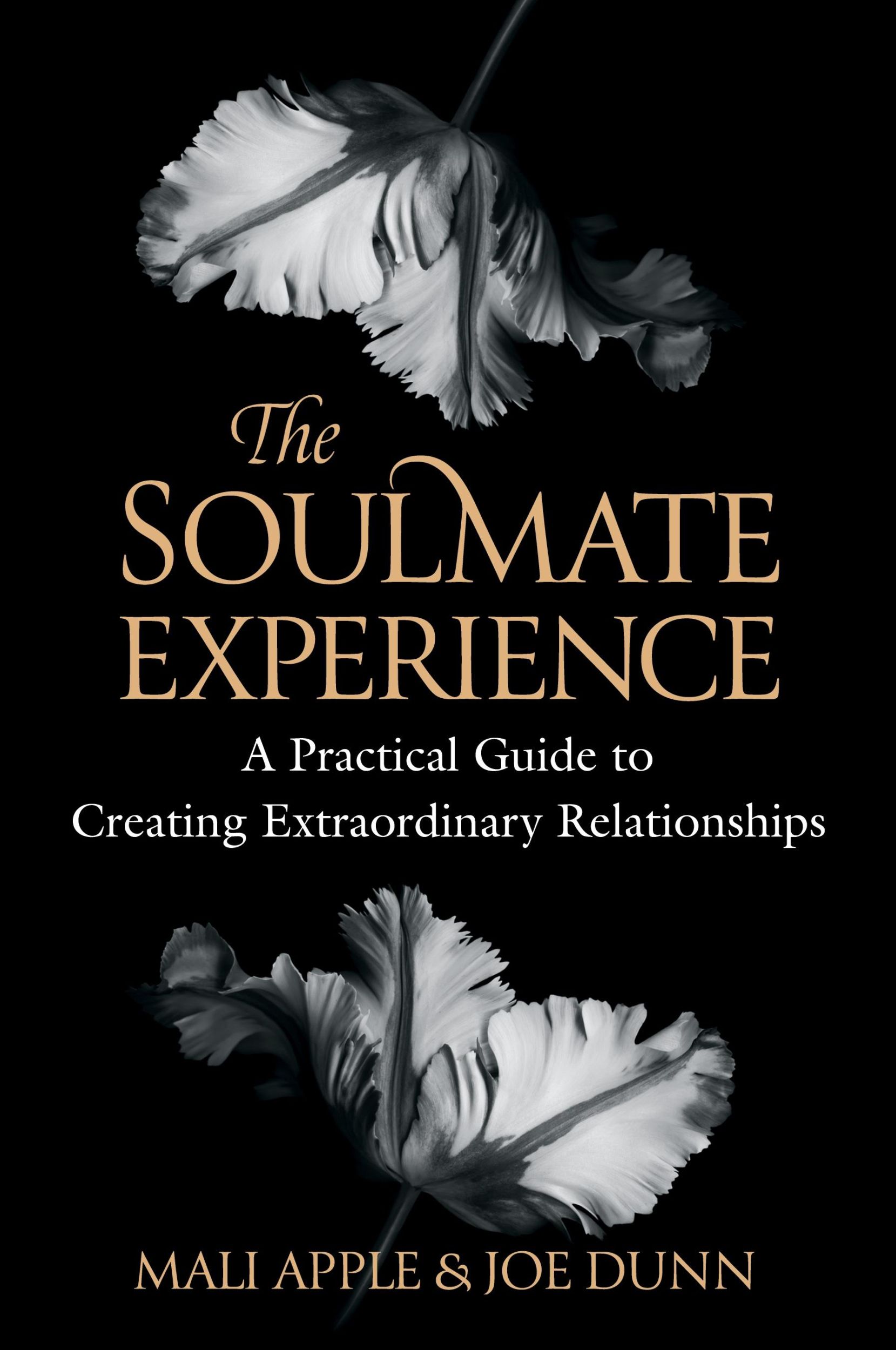 Cover: 9780984562206 | The Soulmate Experience | Mali Apple (u. a.) | Taschenbuch | Englisch