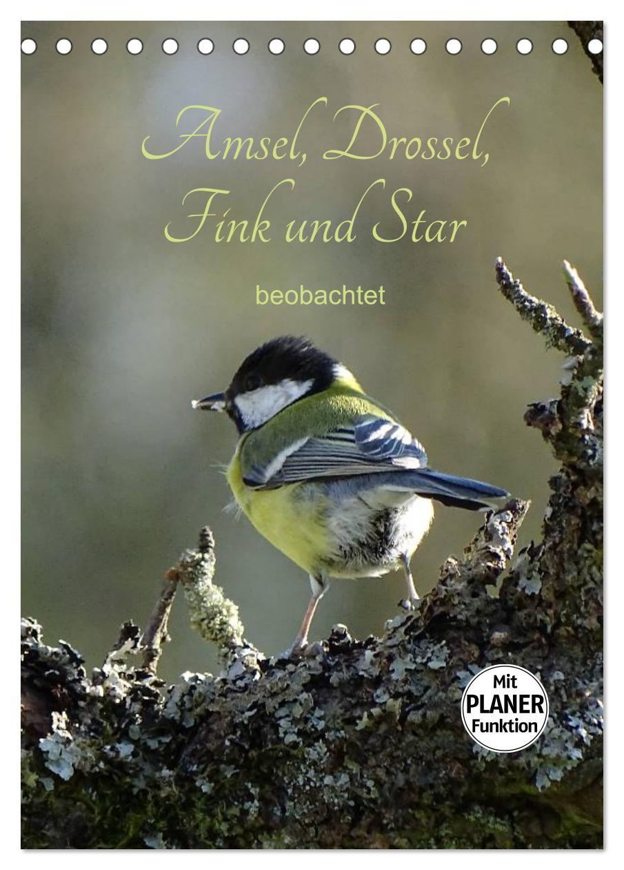 Cover: 9783457041031 | Amsel, Drossel, Fink und Star - beobachtet (Tischkalender 2025 DIN...