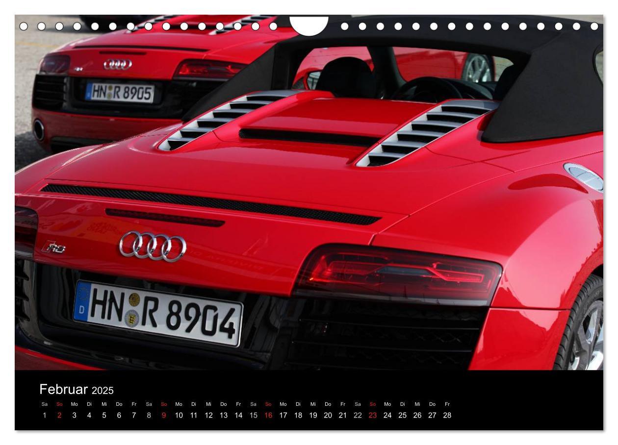 Bild: 9783435839650 | Vollblut-Sportler (Wandkalender 2025 DIN A4 quer), CALVENDO...