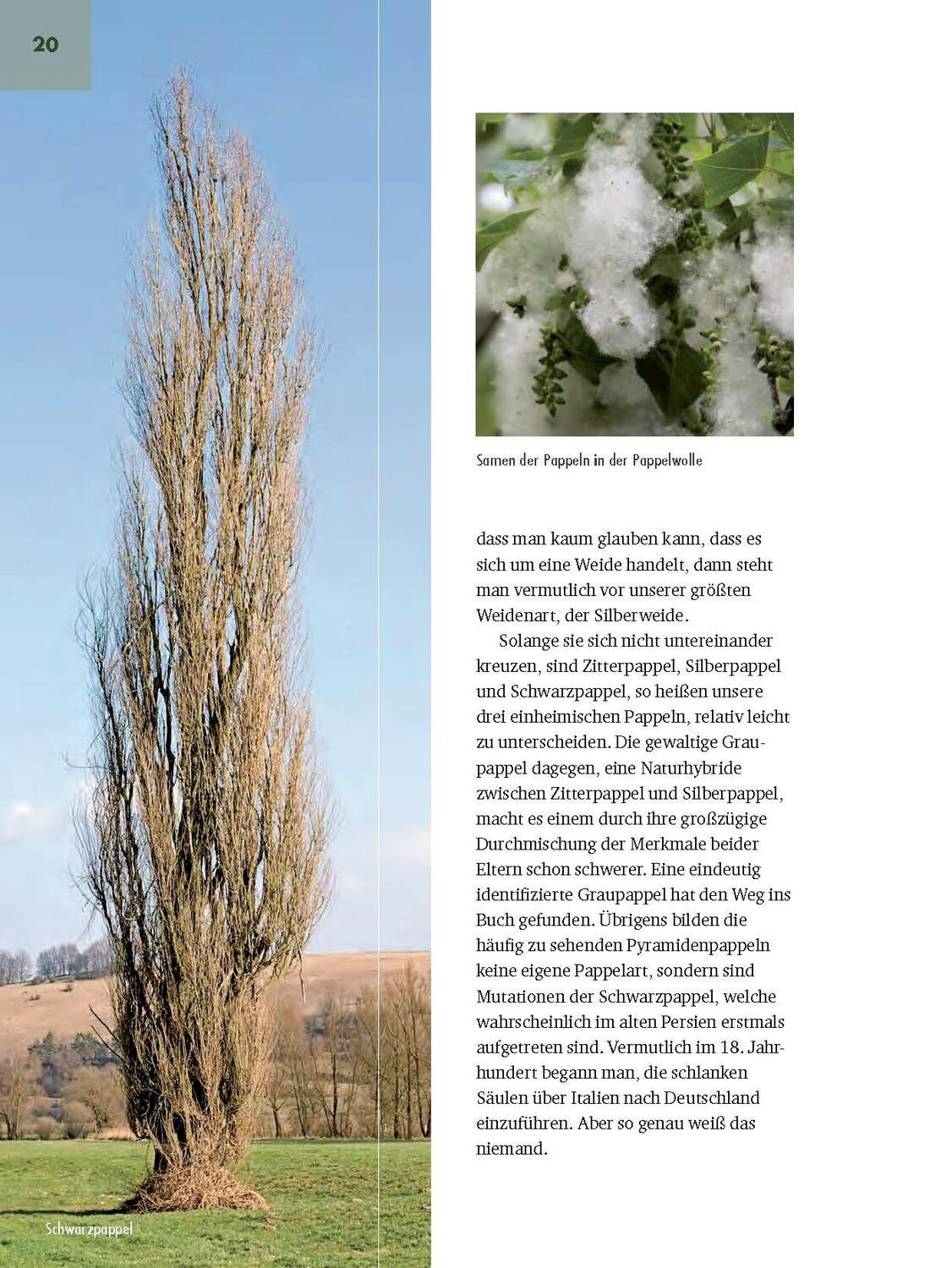 Bild: 9783892515418 | Faszinierende Bäume in Oberbayern | Jürgen Schuller | Buch | 208 S.