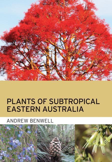 Cover: 9781486313655 | Plants of Subtropical Eastern Australia | Andrew Benwell | Taschenbuch