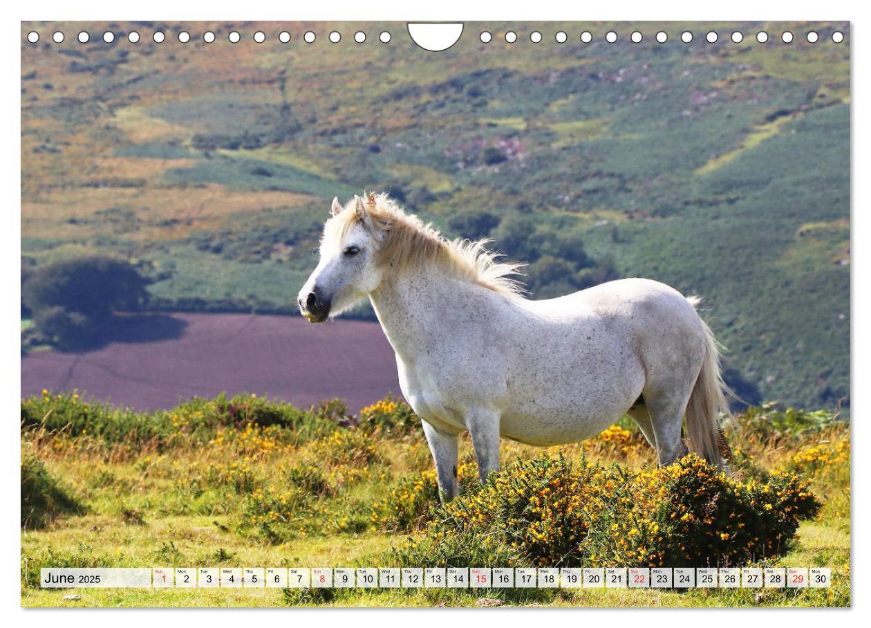 Bild: 9781325940837 | Magic South of England (Wall Calendar 2025 DIN A4 landscape),...