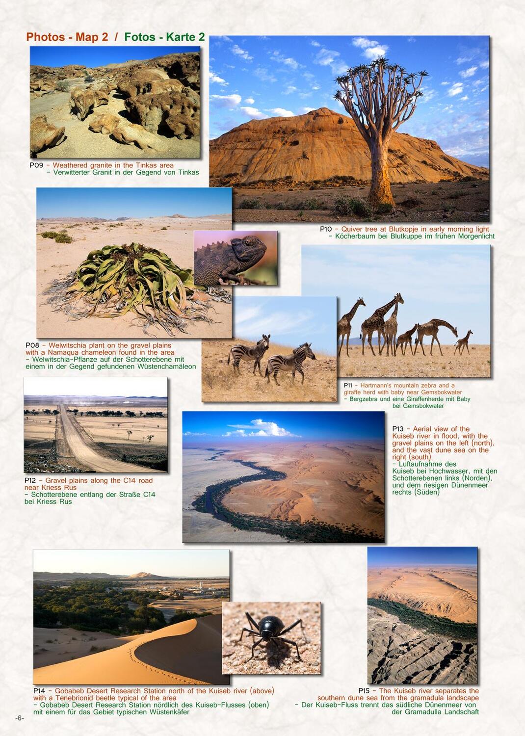 Bild: 9783947895434 | Die NAMIBWÜSTE - The NAMIB DESERT | Claudia Du Plessis (u. a.) | 2020