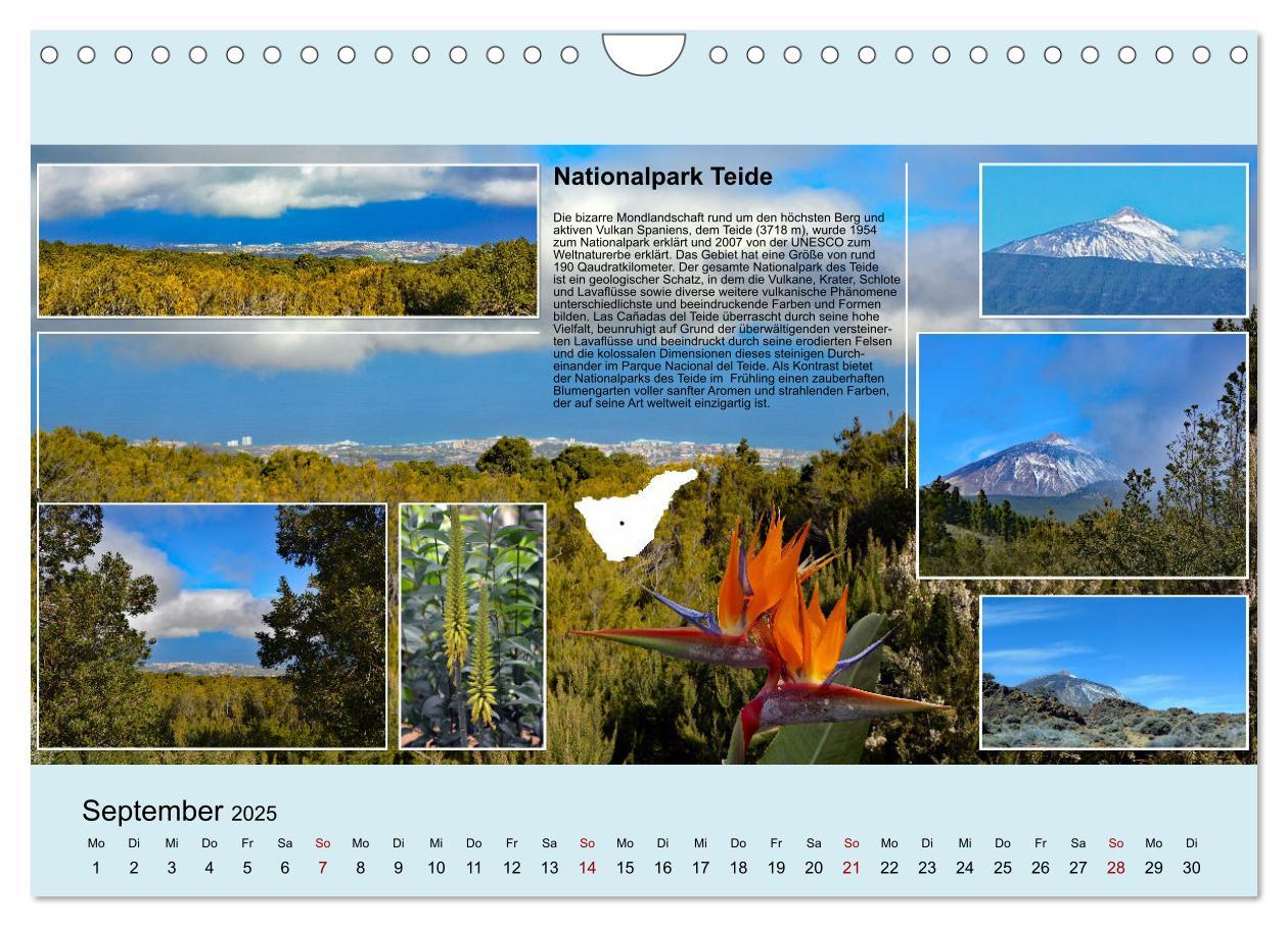 Bild: 9783435006274 | Zauberhaftes Teneriffa (Wandkalender 2025 DIN A4 quer), CALVENDO...