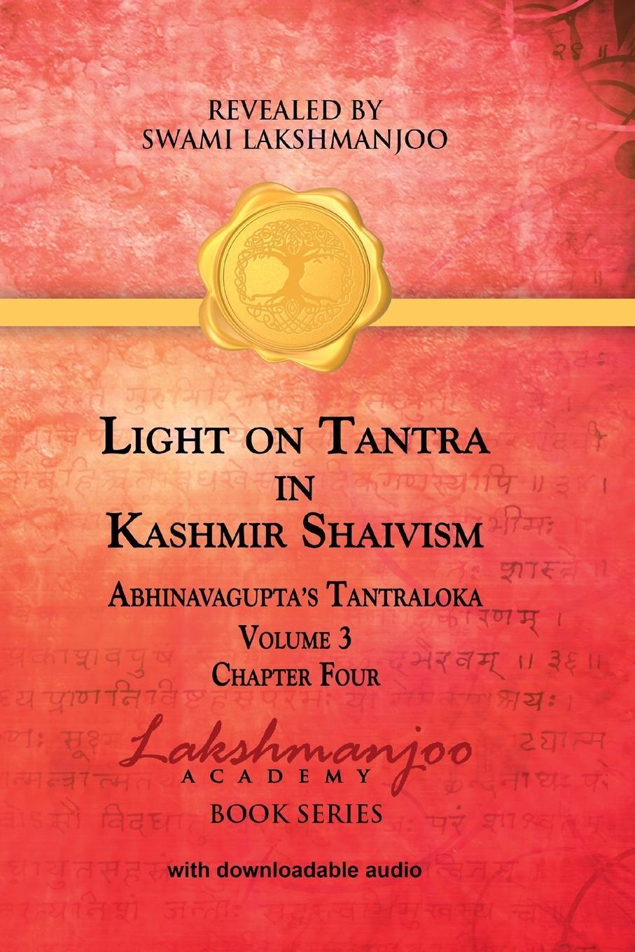 Cover: 9781947241145 | Light on Tantra in Kashmir Shaivism - Volume 3 | Viresh Hughes | Buch