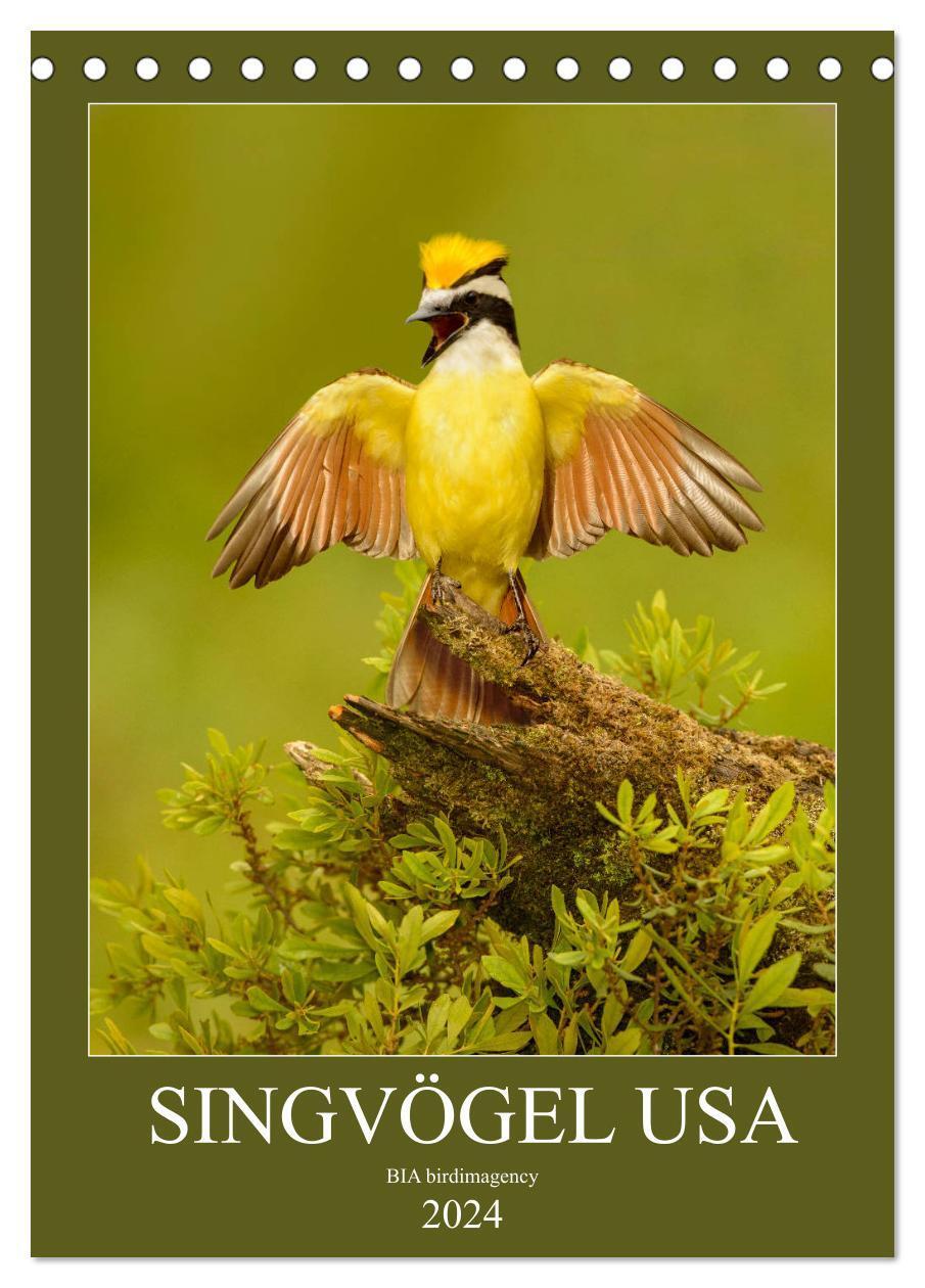 Cover: 9783383158872 | Singvögel USA (Tischkalender 2024 DIN A5 hoch), CALVENDO...