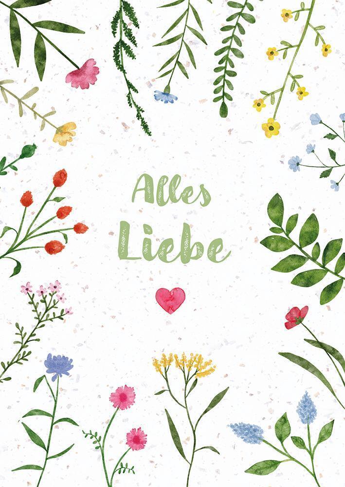 Cover: 4250222943333 | Alles Liebe | Faltkarte aus Samenpapier | Box | 1 S. | Deutsch | 2024