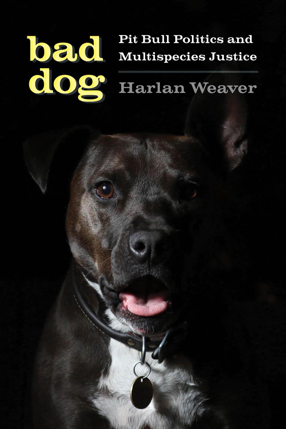 Cover: 9780295748023 | Bad Dog | Pit Bull Politics and Multispecies Justice | Harlan Weaver
