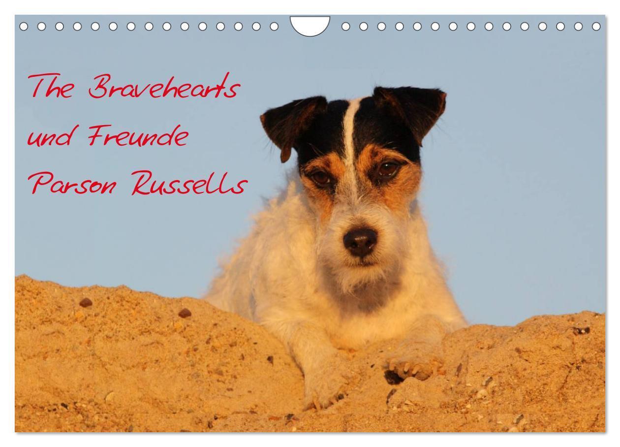 Cover: 9783383302671 | The Bravehearts und Freunde - Parson Russells (Wandkalender 2024...