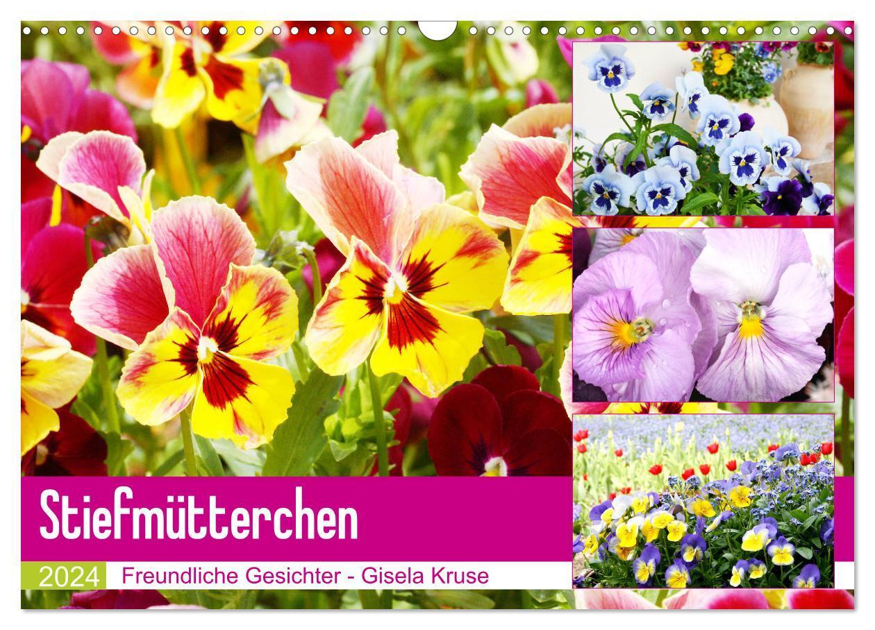 Cover: 9783675675346 | Stiefmütterchen Freundliche Gesichter (Wandkalender 2024 DIN A3...