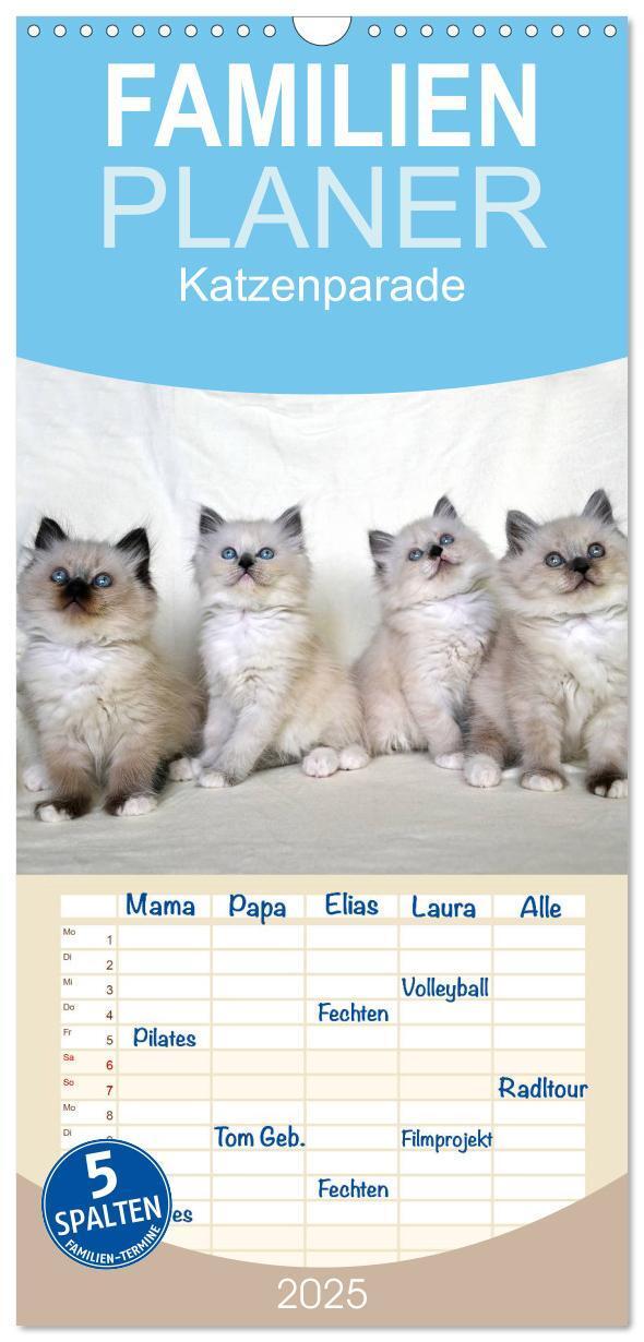 Cover: 9783457123881 | Familienplaner 2025 - Katzenparade mit 5 Spalten (Wandkalender, 21...