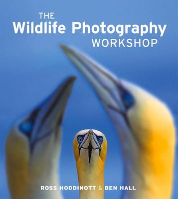 Cover: 9781907708572 | Wildlife Photography Workshop, The | Hoddinott | Taschenbuch | 2013