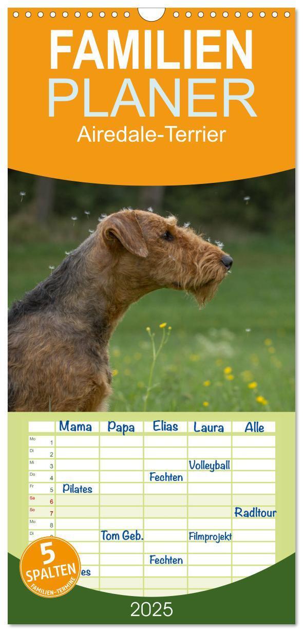 Cover: 9783457113349 | Familienplaner 2025 - Airedale-Terrier, was sonst! mit 5 Spalten...