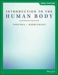 Cover: 9781119585466 | Introduction to the Human Body | Gerard J. Tortora (u. a.) | Buch