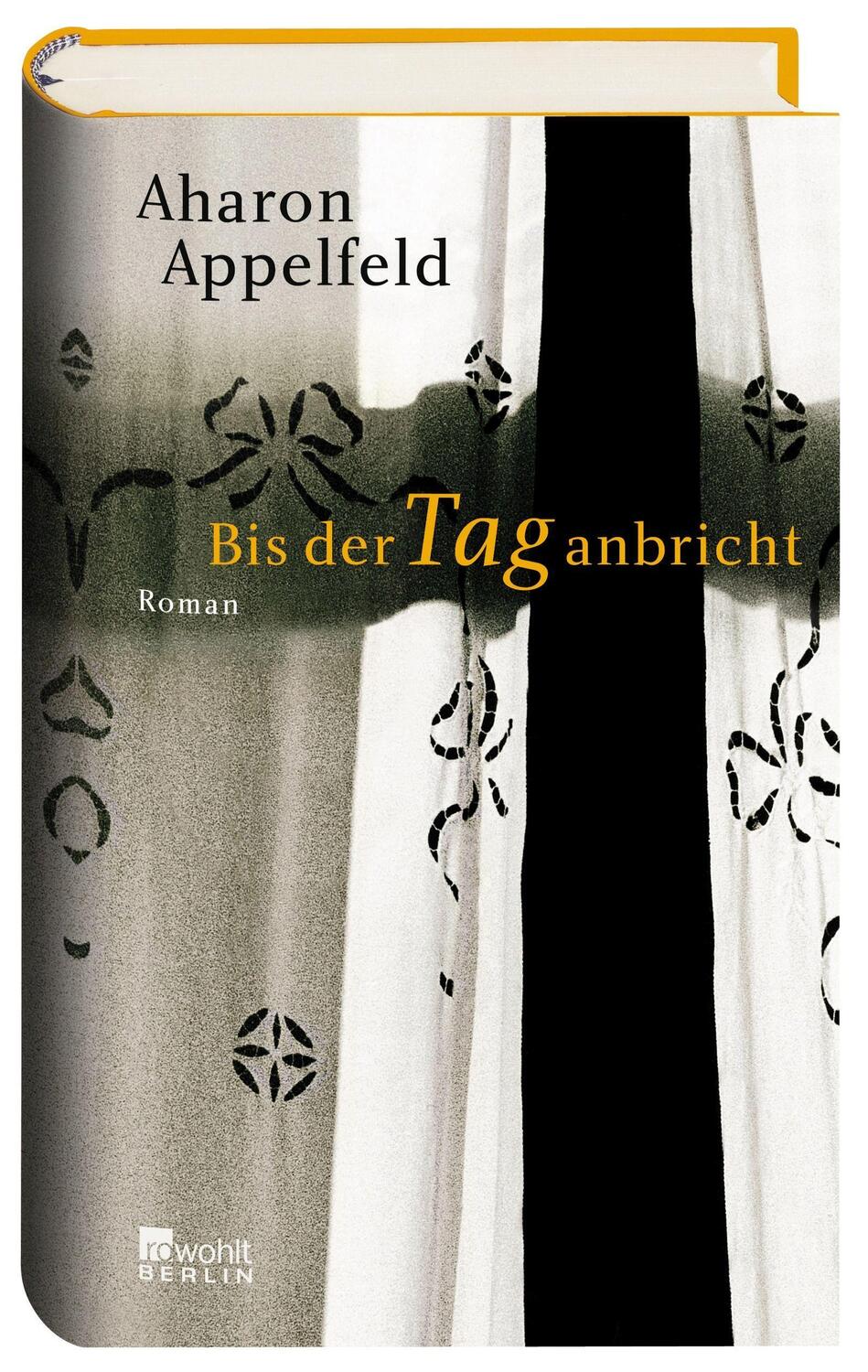 Cover: 9783871345388 | Bis der Tag anbricht | Aharon Appelfeld | Buch | 256 S. | Deutsch