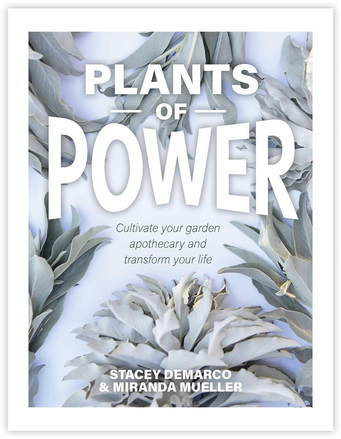 Cover: 9781925924350 | Plants of Power | Miranda Mueller (u. a.) | Buch | Gebunden | Englisch