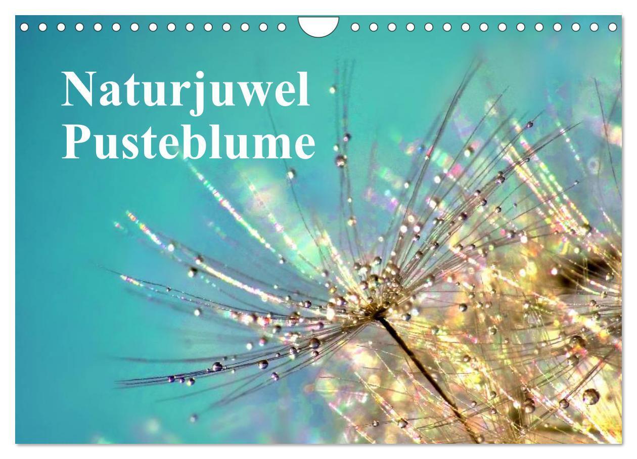 Cover: 9783383540851 | Naturjuwel Pusteblume (Wandkalender 2024 DIN A4 quer), CALVENDO...