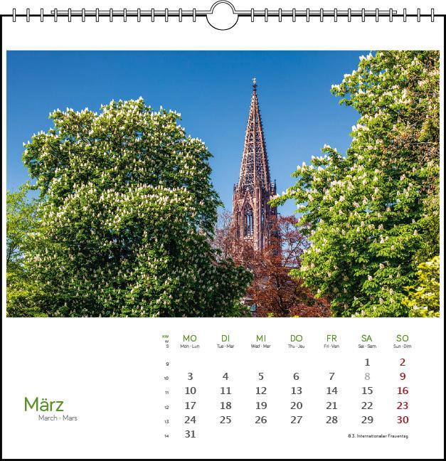 Bild: 9783861924142 | Freiburg 2025 | Postkarten-Tischkalender | Kalender | Spiralbindung