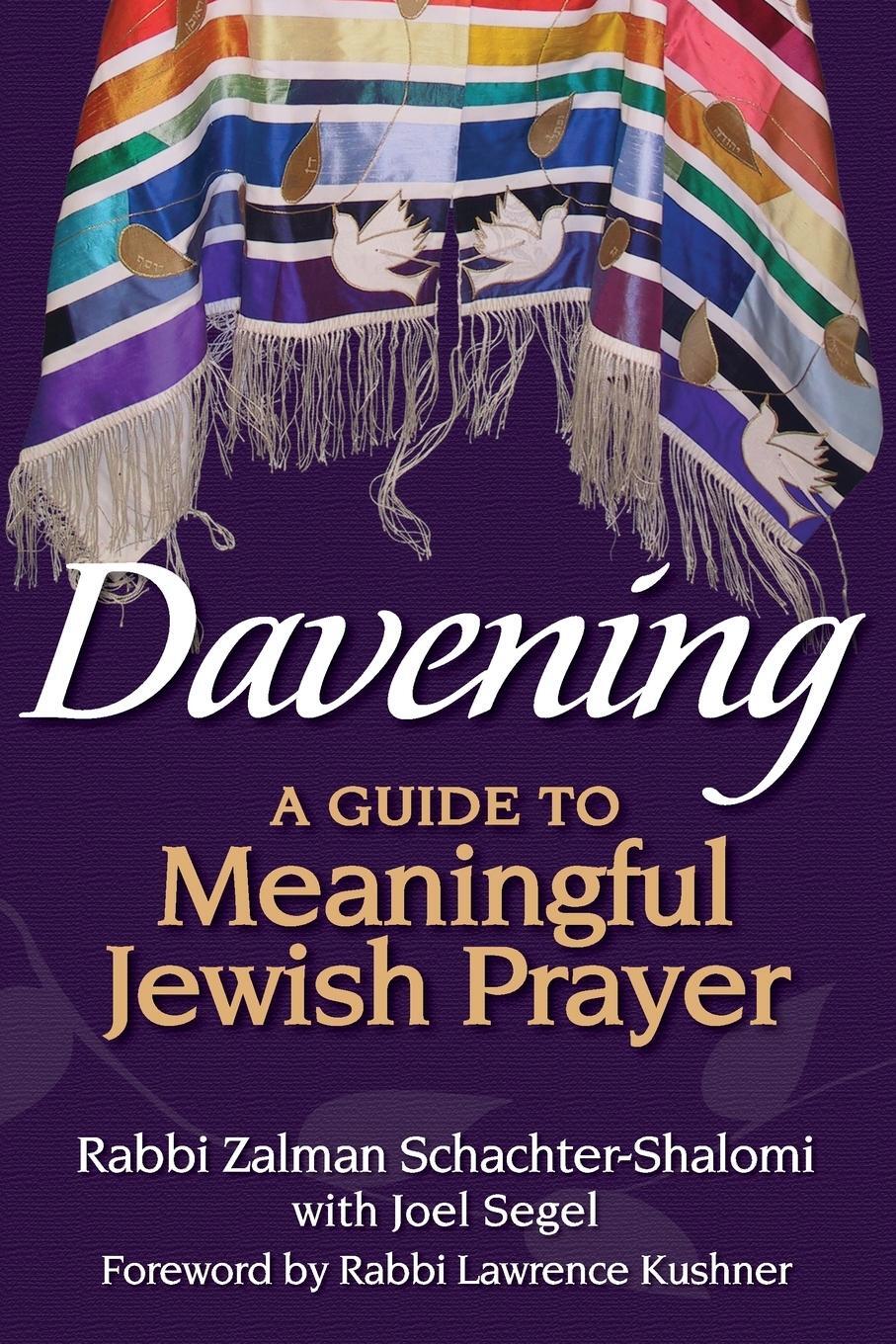 Cover: 9781580236270 | Davening | A Guide to Meaningful Jewish Prayer | Schachter-Shalomi
