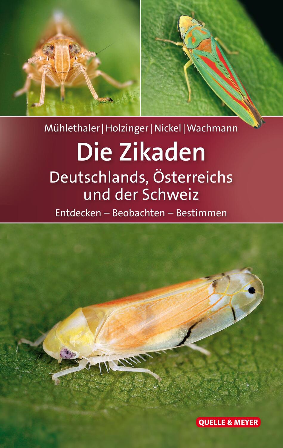 Cover: 9783494016481 | Die Zikaden Deutschlands, Österreichs und der Schweiz | Buch | Deutsch