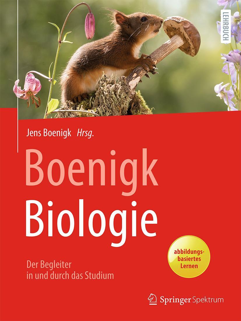 Cover: 9783662612699 | Boenigk, Biologie | Der Begleiter in und durch das Studium | Boenigk