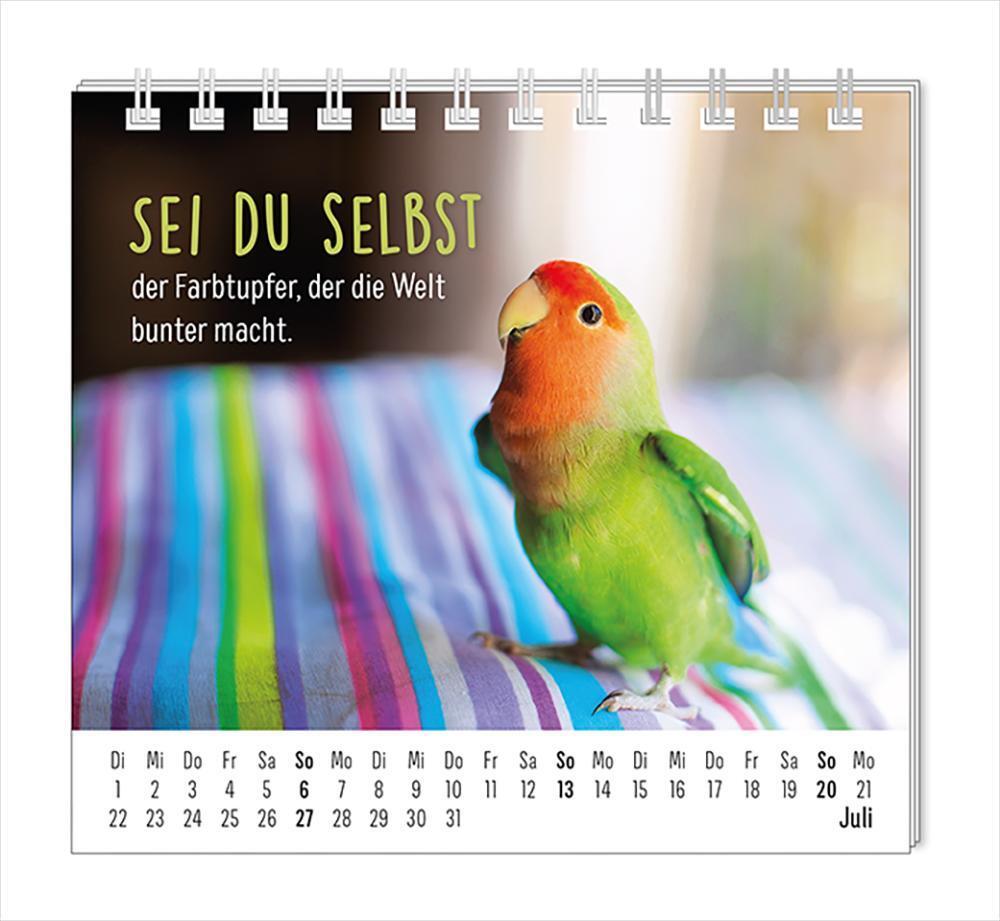 Bild: 9783986361099 | Mini-Kalender 2025 Happymacher | Mini-Kalender | Original | Kalender