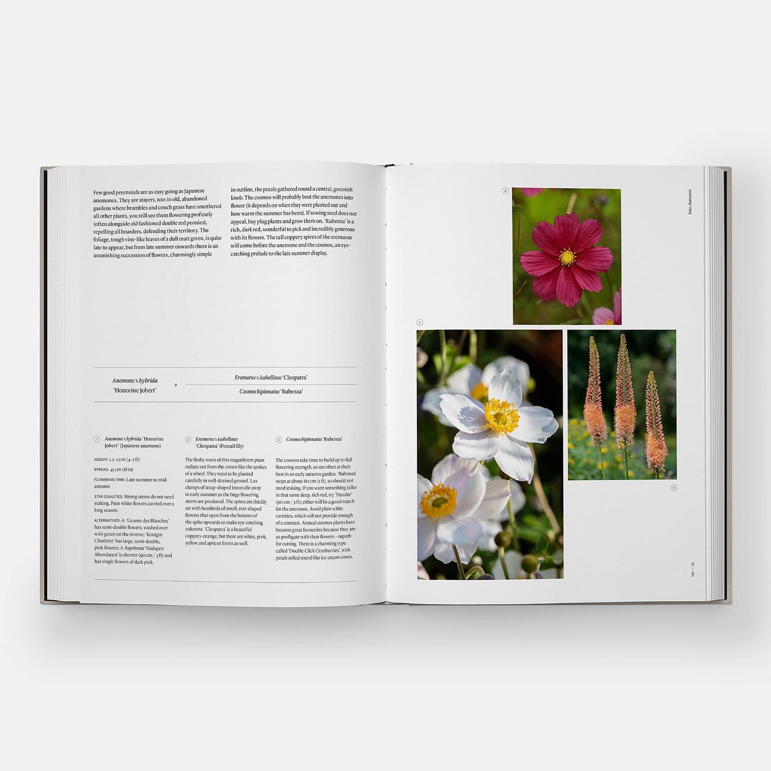 Bild: 9781838663988 | The Seasonal Gardener: Creative Planting Combinations | Anna Pavord