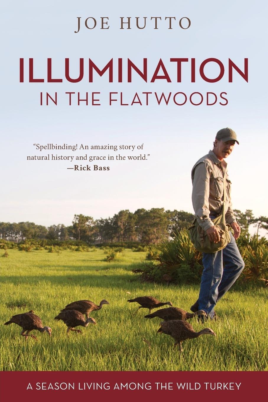 Cover: 9781493036967 | Illumination in the Flatwoods | A Season Living Among the Wild Turkey