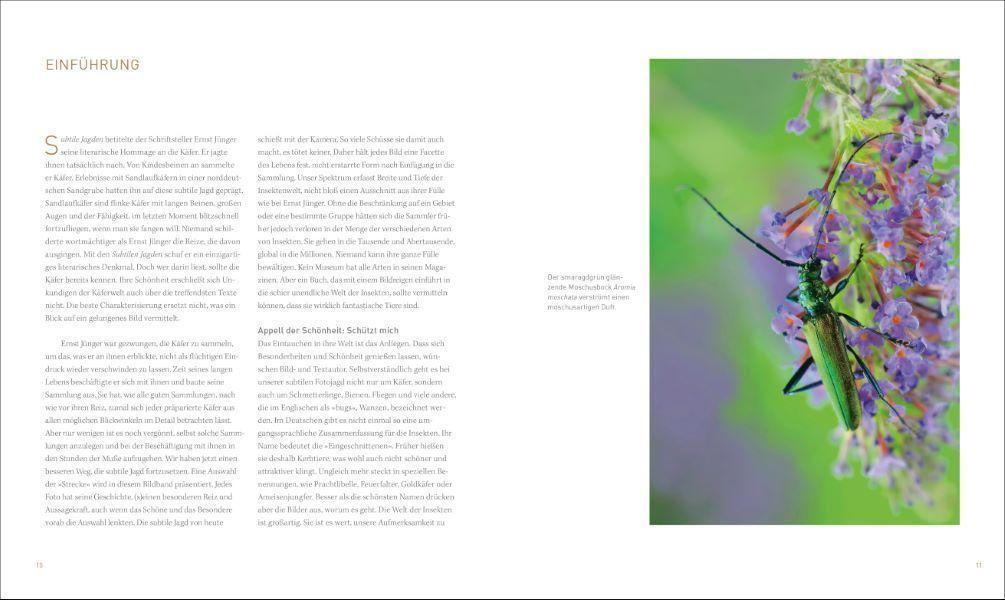Bild: 9783954163236 | Unsere einzigartige Insektenwelt | Josef H. Reichholf (u. a.) | Buch
