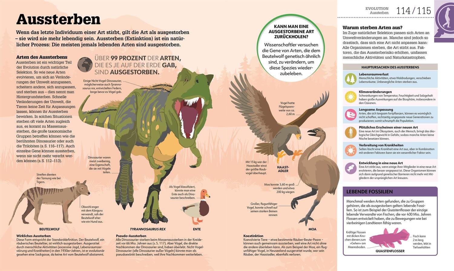 Bild: 9783831048205 | #dkinfografik. Biologie einfach erklärt | Jack Challoner (u. a.)