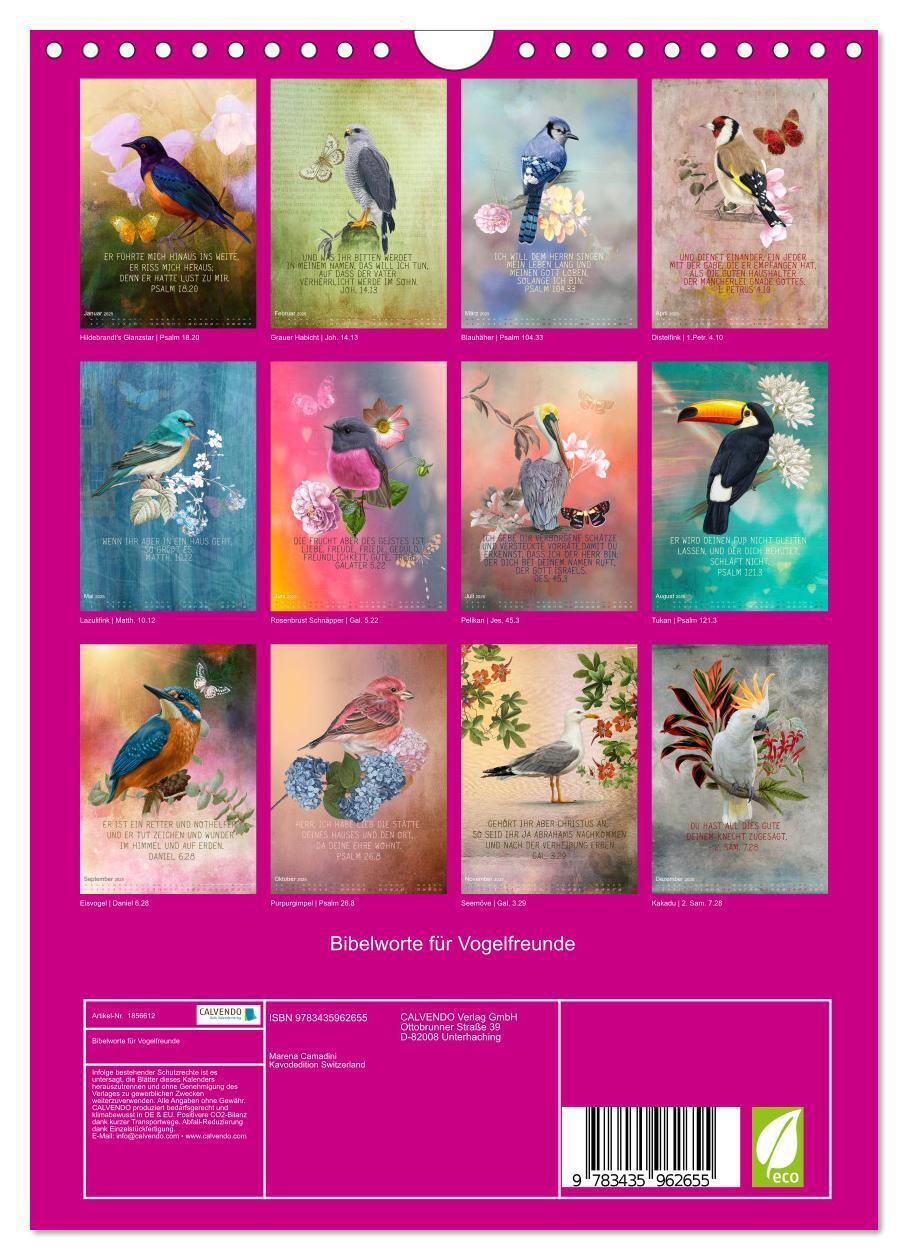 Bild: 9783435962655 | Bibelworte für Vogelfreunde (Wandkalender 2025 DIN A4 hoch),...