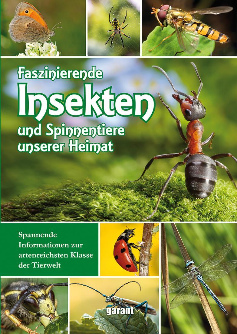 Cover: 9783735919663 | Faszinierende Insekten und Spinnentiere unserer Heimat | GmbH | Buch