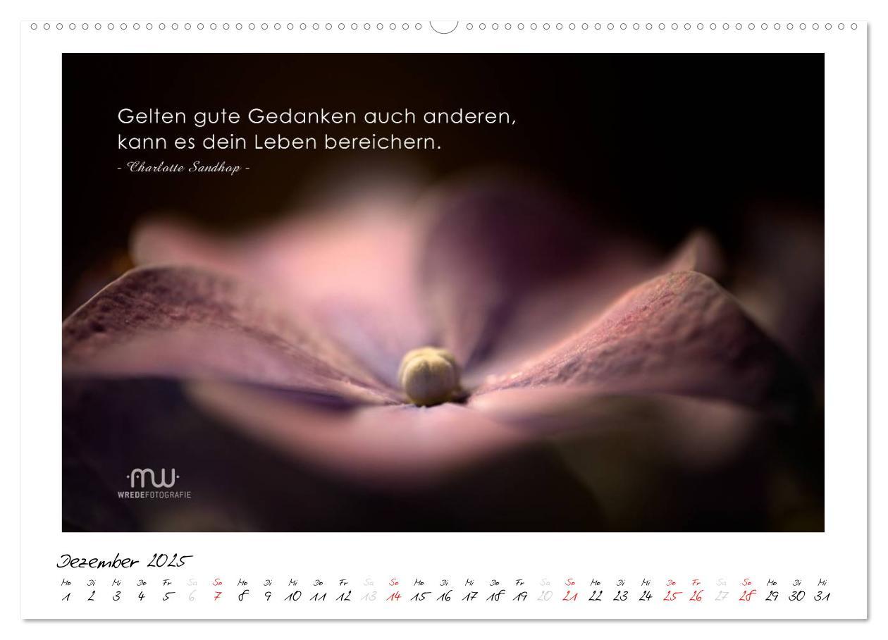 Bild: 9783435657629 | Gedanken... Bildkalender mit Sprüchen (Wandkalender 2025 DIN A2...