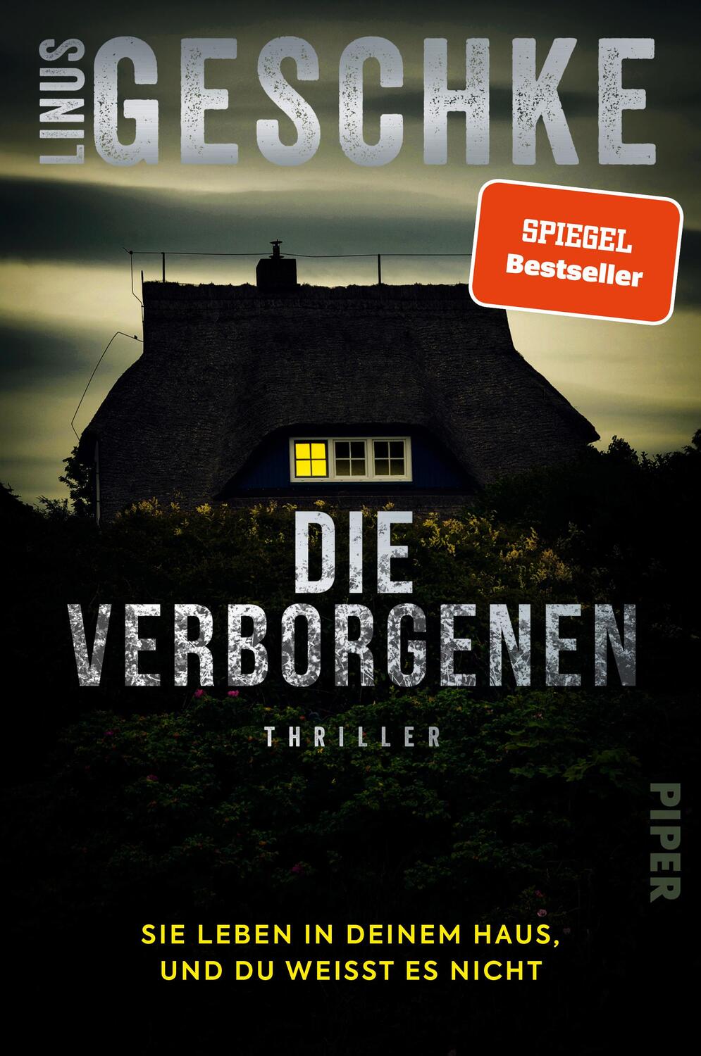 Cover: 9783492064798 | Die Verborgenen | Linus Geschke | Taschenbuch | 368 S. | Deutsch