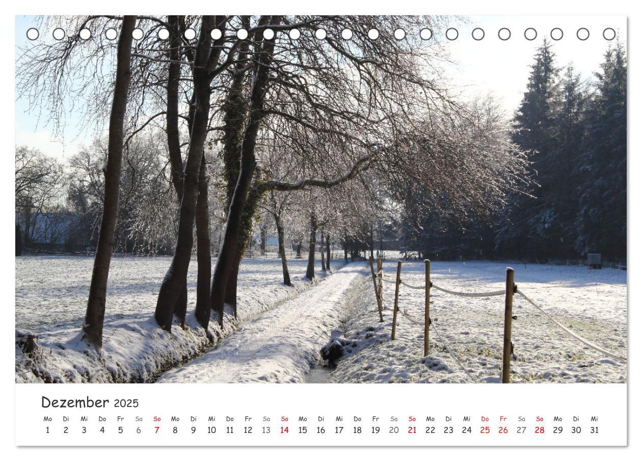 Bild: 9783435077489 | Zauberhaftes Ammerland (Tischkalender 2025 DIN A5 quer), CALVENDO...