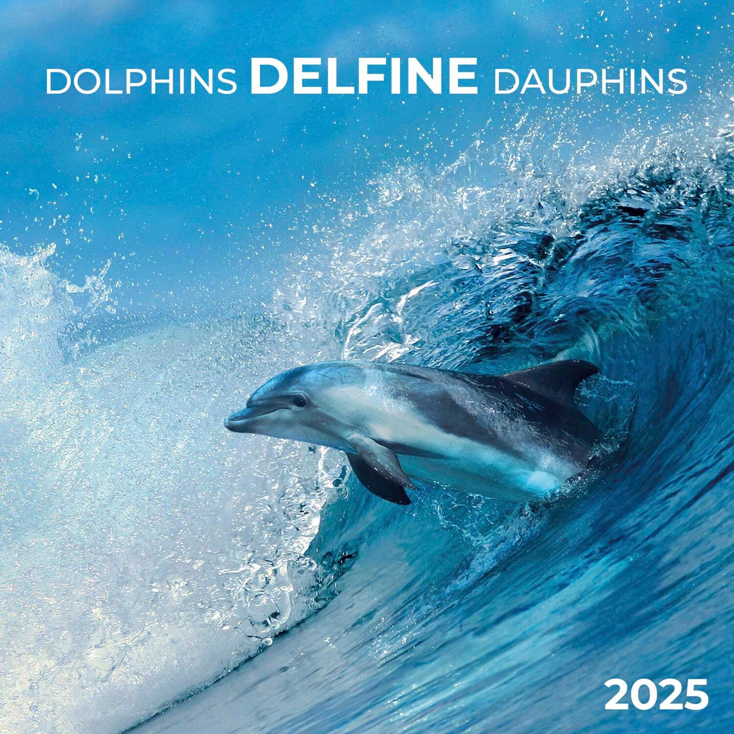 Cover: 9783959294508 | Dolphins/Delfine 2025 | Kalender 2025 | Kalender | Artwork Edition