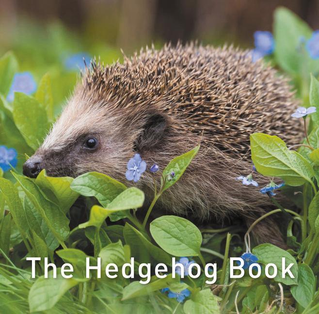 Cover: 9781913134419 | The Hedgehog Book | Hugh Warwick | Buch | Englisch | 2020