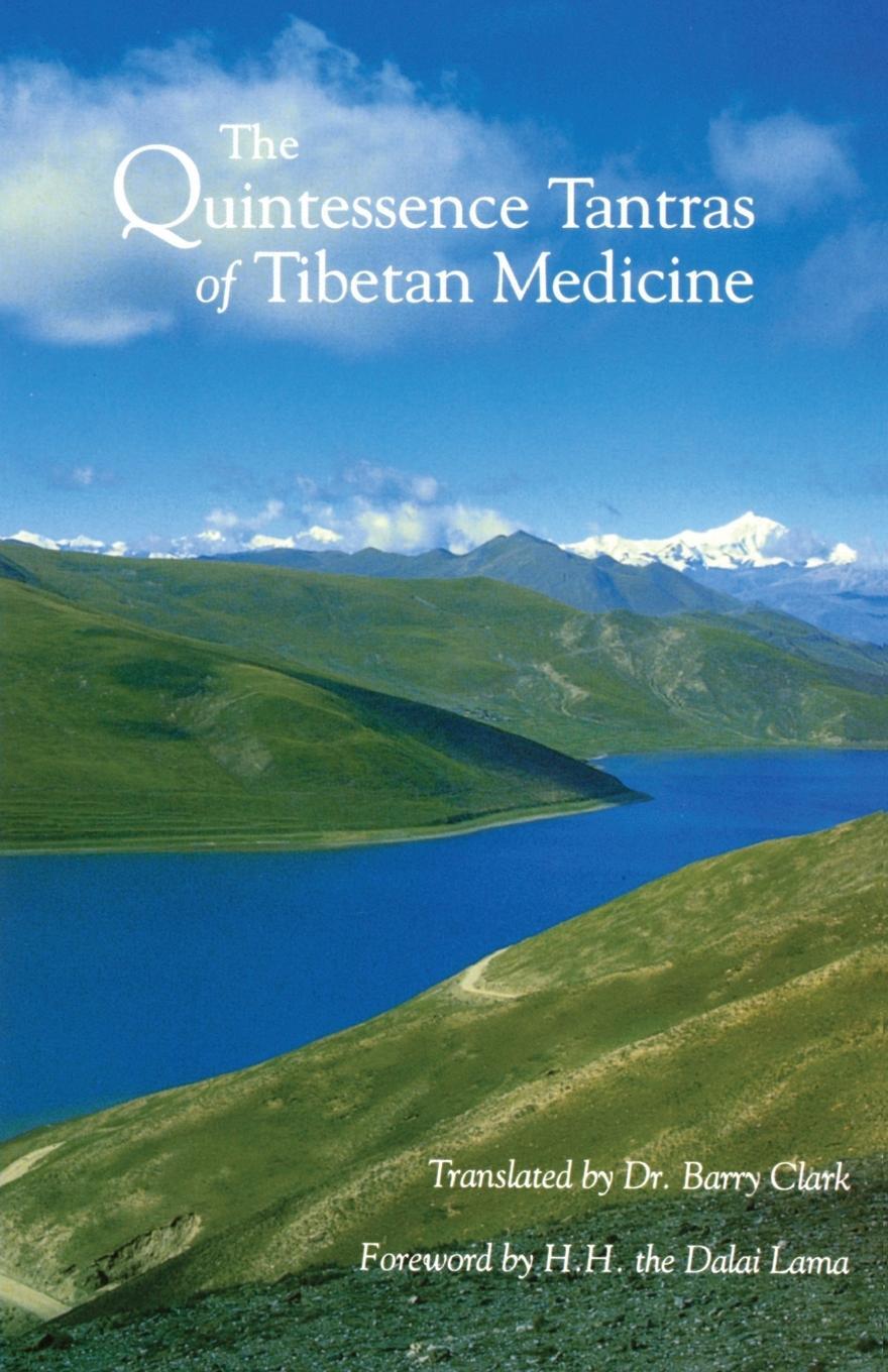 Cover: 9781559390095 | The Quintessence Tantras of Tibetan Medicine | Taschenbuch | Paperback